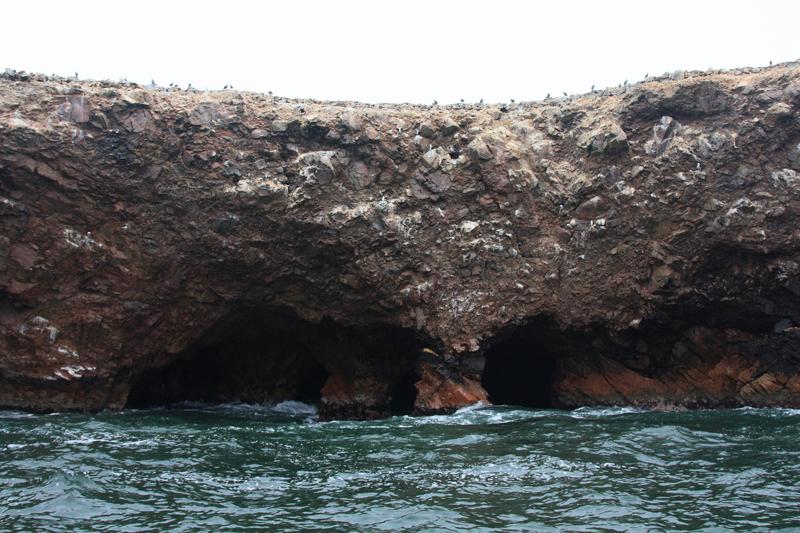 1159-Isole Ballestas,19 luglio 2013.JPG